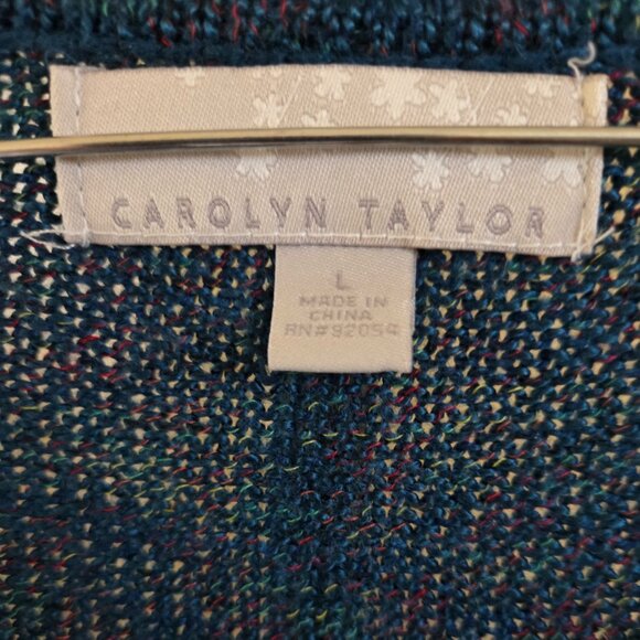 Carolyn Taylor Soft Teal V-Neck Long Sleeve Sweater - Picture 3 of 3